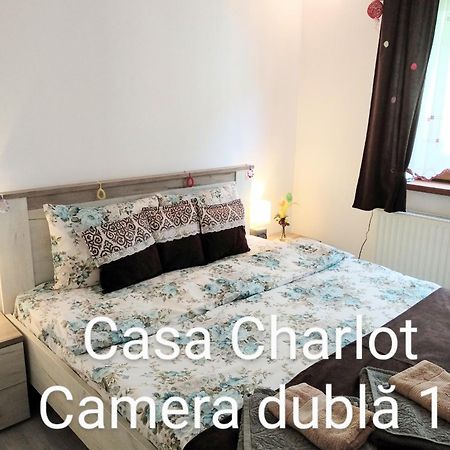Casa Charlot Lägenhet Braşov Exteriör bild