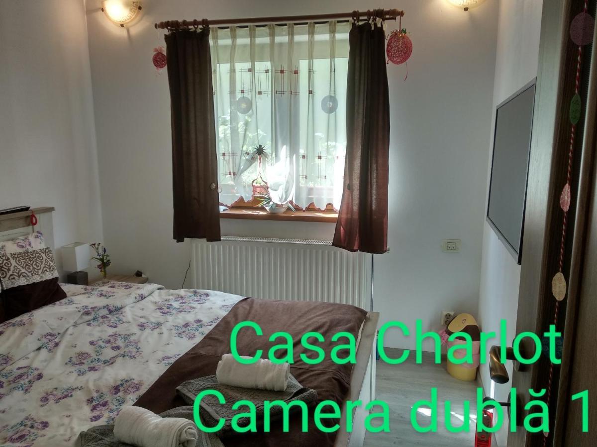 Casa Charlot Lägenhet Braşov Exteriör bild
