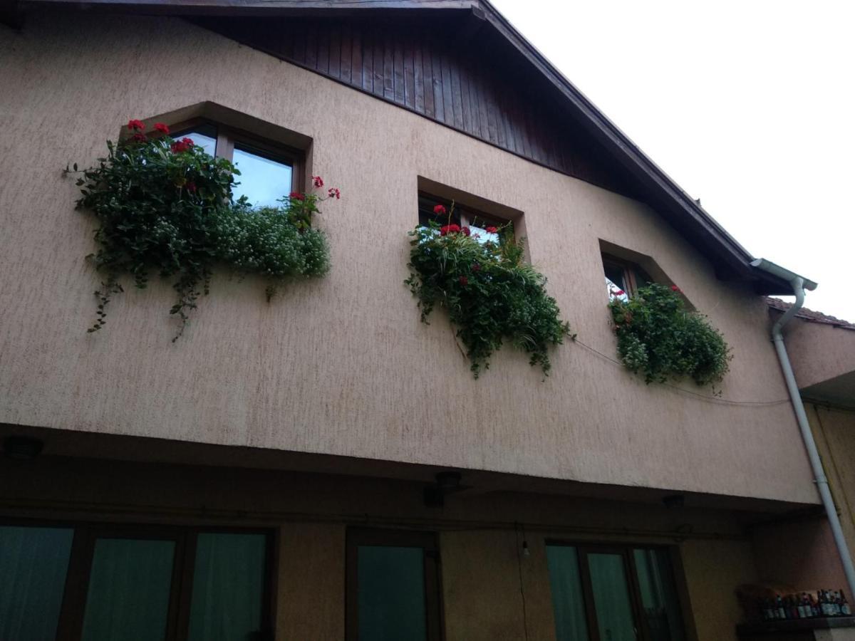 Casa Charlot Lägenhet Braşov Exteriör bild