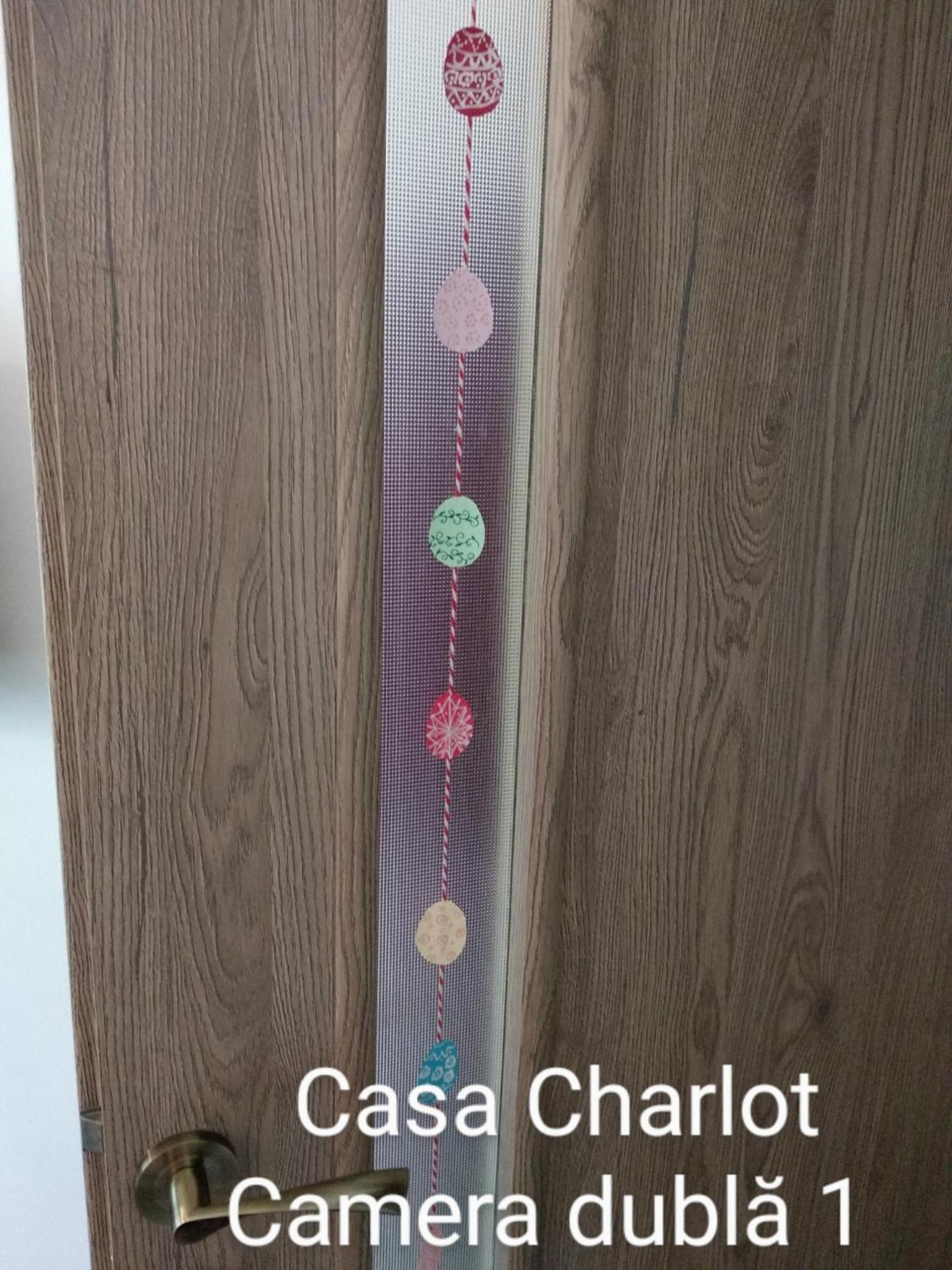 Casa Charlot Lägenhet Braşov Exteriör bild